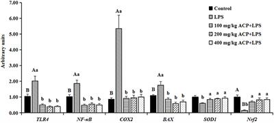 Antrodia cinnamomea polysaccharide improves liver antioxidant, anti-inflammatory capacity, and cecal flora structure of slow-growing broiler breeds challenged with lipopolysaccharide